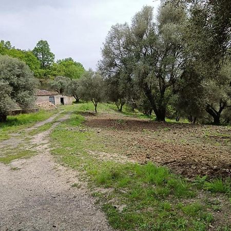B&B Le Casette SantʼOnofrio Kültér fotó