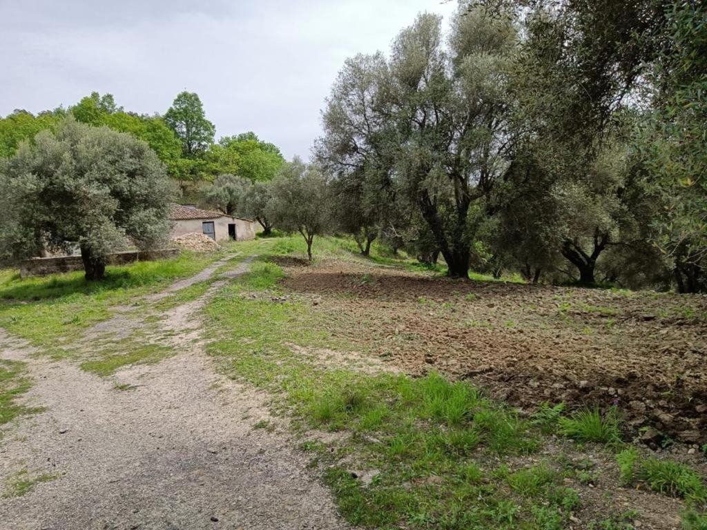 B&B Le Casette SantʼOnofrio Kültér fotó